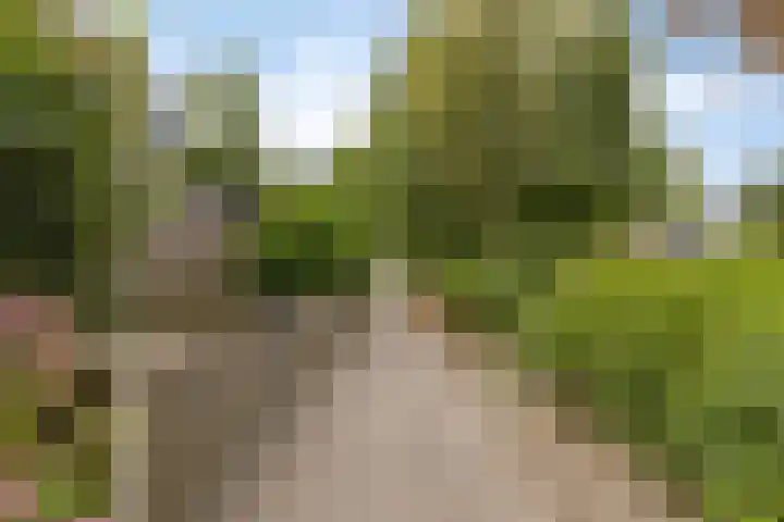 Westererf 18 Rozenburg thumbnail 6