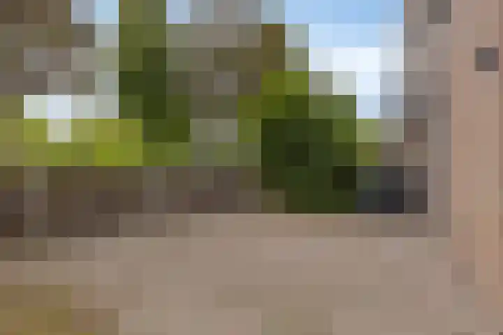 Westererf 18 Rozenburg thumbnail 8