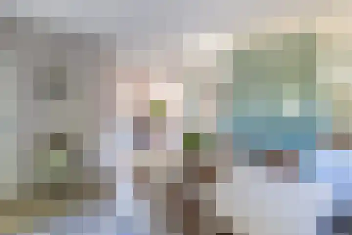 Westererf 9 Rozenburg thumbnail 22