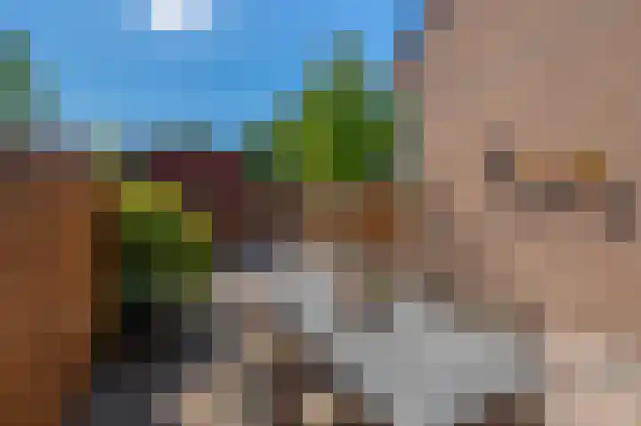 Westererf 9 Rozenburg thumbnail 37