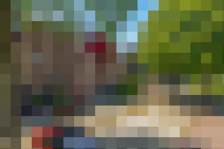 Westererf 9 Rozenburg thumbnail 5