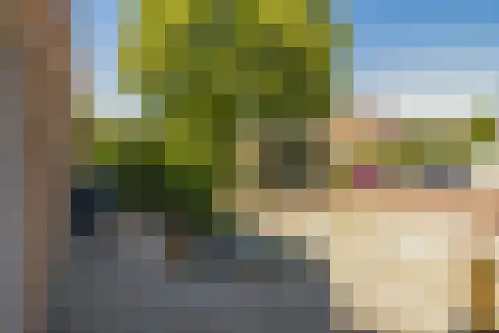Westererf 9 Rozenburg thumbnail 7