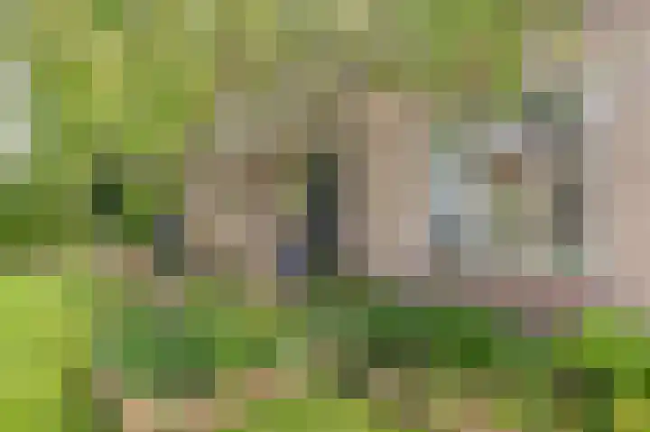 Westeres 1 Vries thumbnail 11