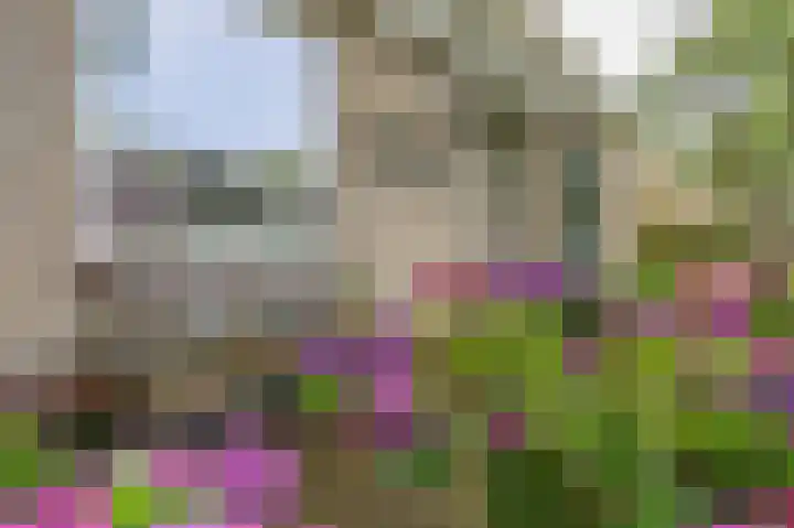 Westeres 1 Vries thumbnail 12