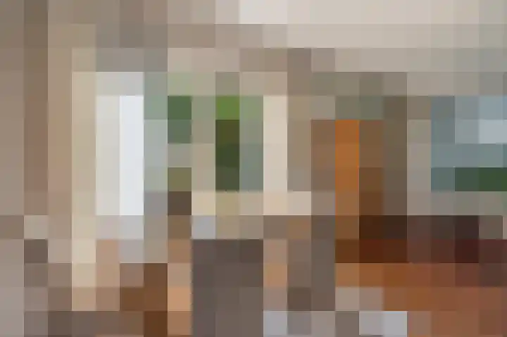 Westeres 1 Vries thumbnail 15
