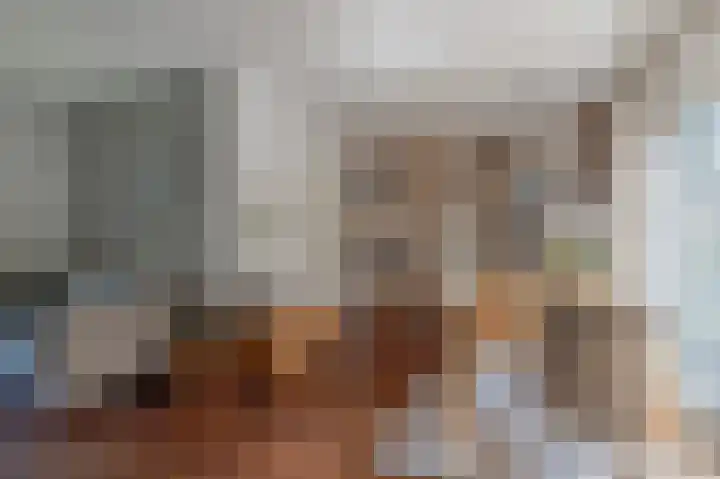 Westeres 1 Vries thumbnail 17