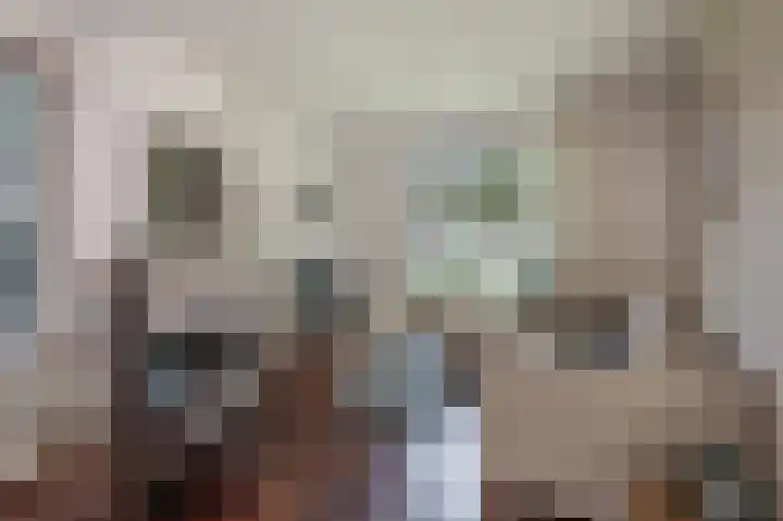 Westeres 1 Vries thumbnail 18