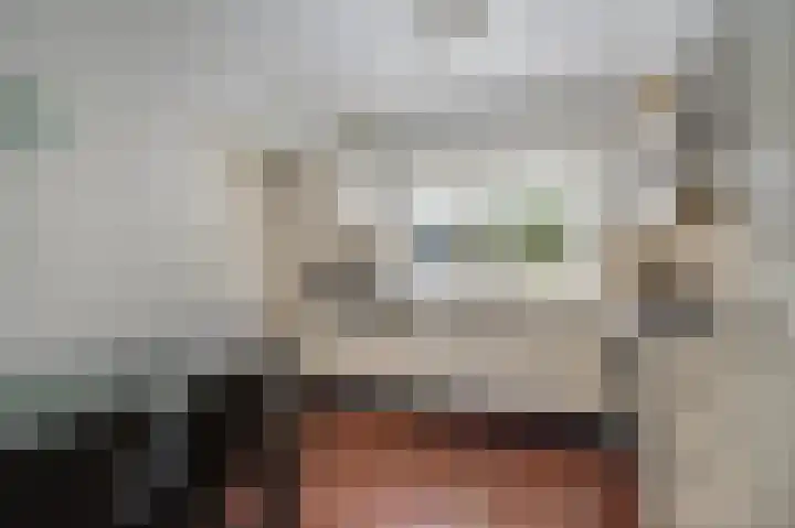 Westeres 1 Vries thumbnail 21