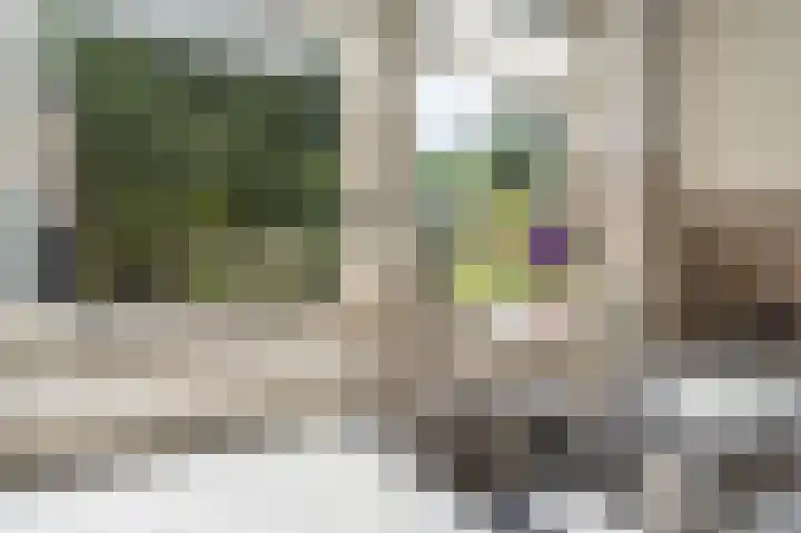 Westeres 1 Vries thumbnail 22