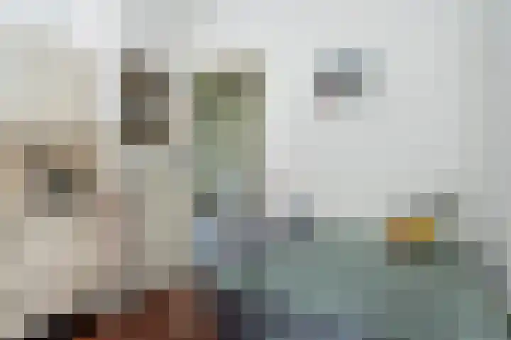 Westeres 1 Vries thumbnail 23