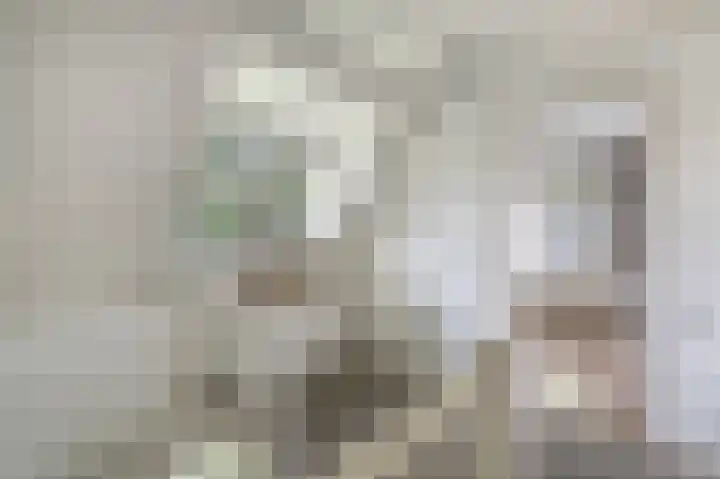 Westeres 1 Vries thumbnail 26