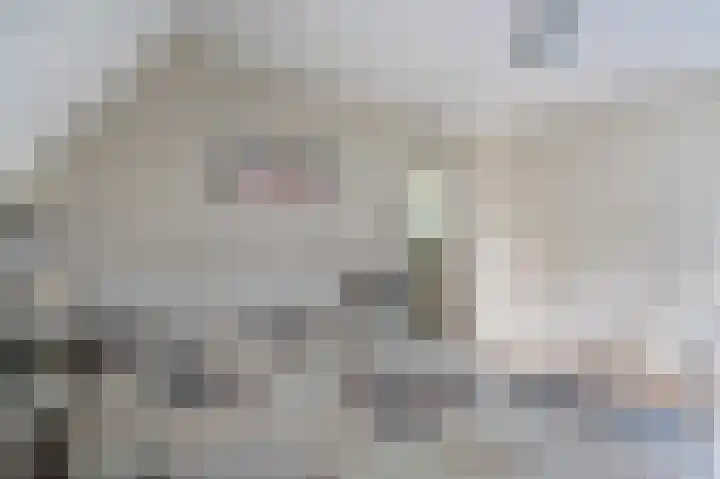 Westeres 1 Vries thumbnail 28