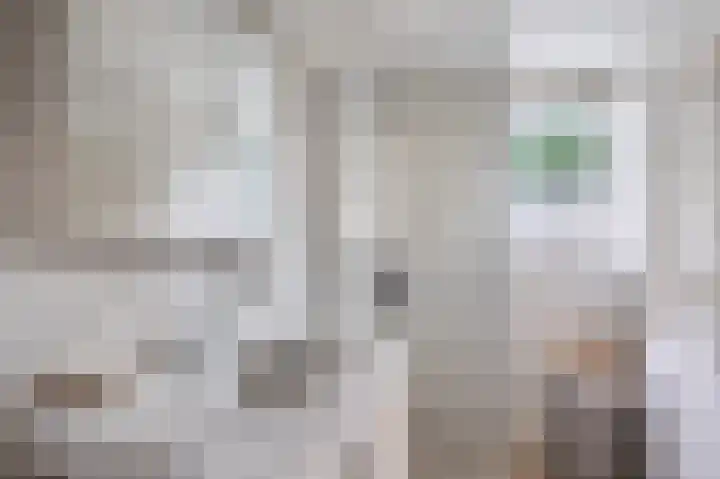 Westeres 1 Vries thumbnail 29