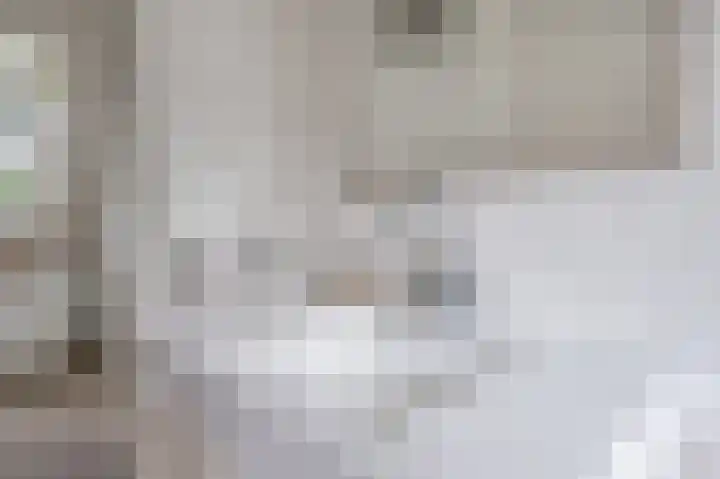 Westeres 1 Vries thumbnail 30