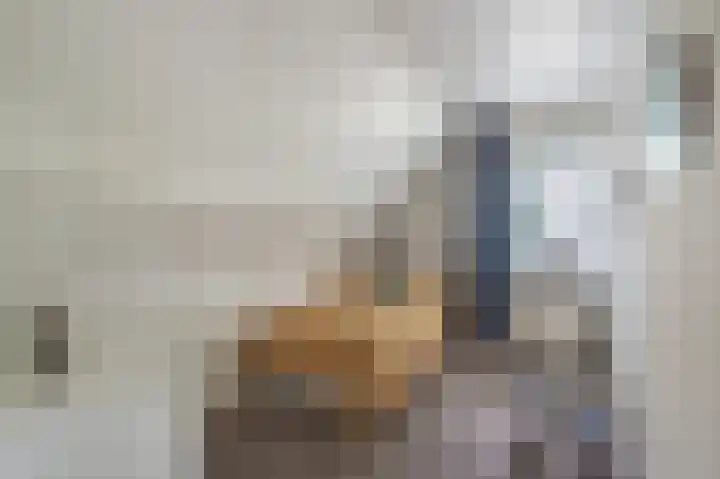 Westeres 1 Vries thumbnail 31