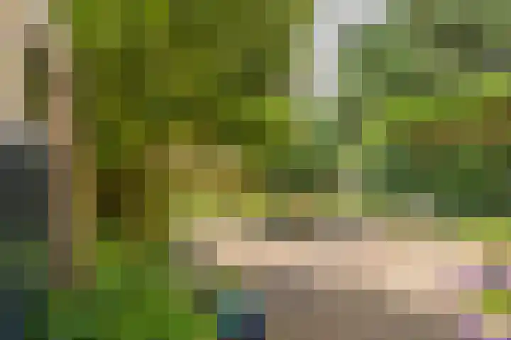 Westeres 1 Vries thumbnail 34
