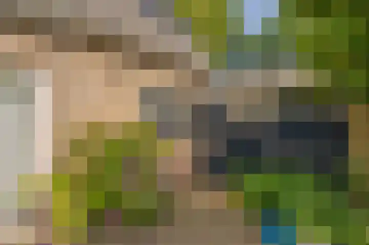 Westeres 1 Vries thumbnail 35