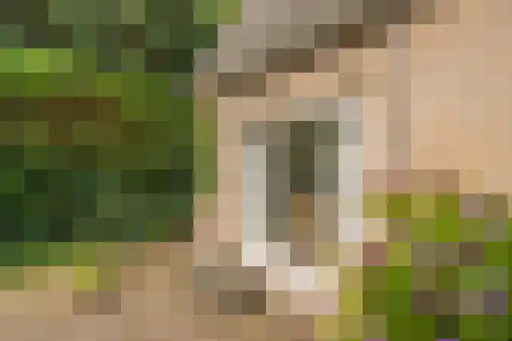 Westeres 1 Vries thumbnail 36