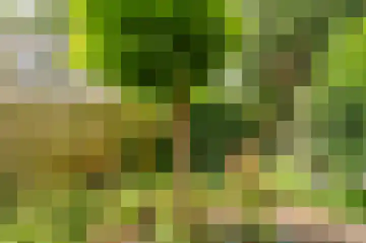 Westeres 1 Vries thumbnail 37