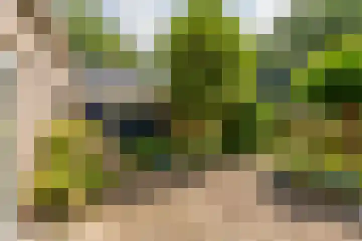 Westeres 1 Vries thumbnail 39