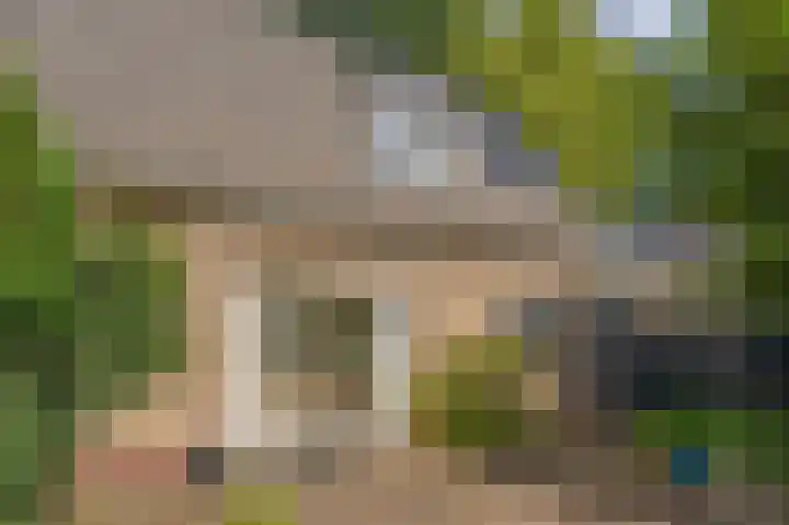 Westeres 1 Vries thumbnail 40