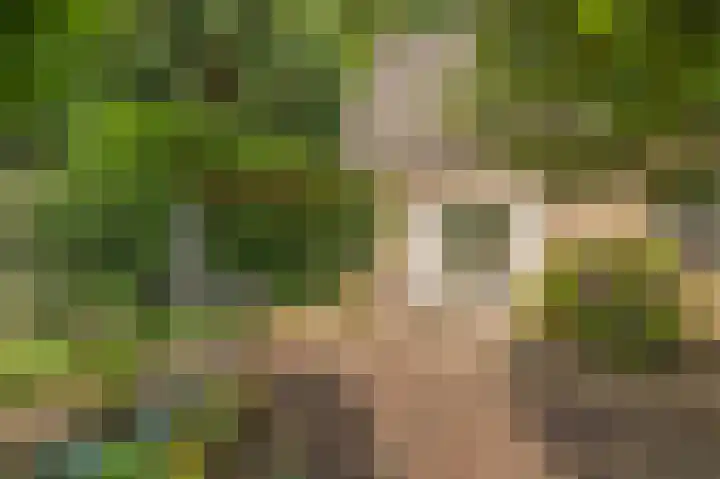 Westeres 1 Vries thumbnail 41