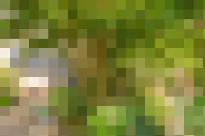Westeres 1 Vries thumbnail 42