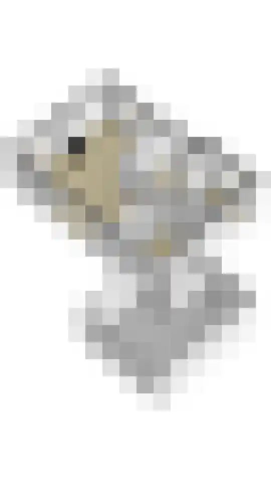 Westeres 1 Vries thumbnail 46