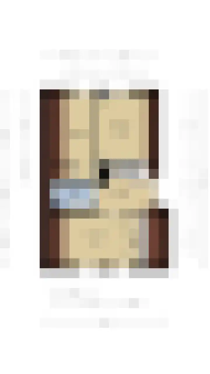 Westeres 1 Vries thumbnail 47