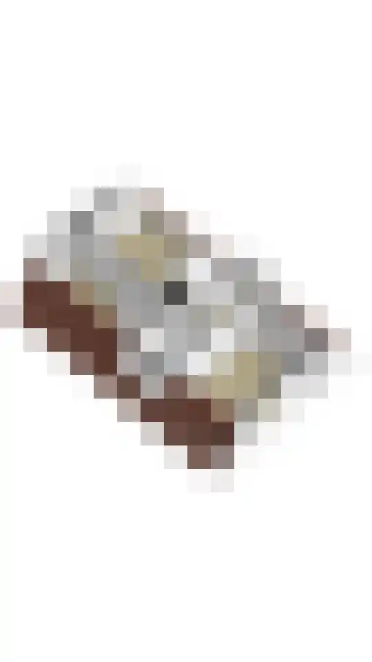 Westeres 1 Vries thumbnail 48
