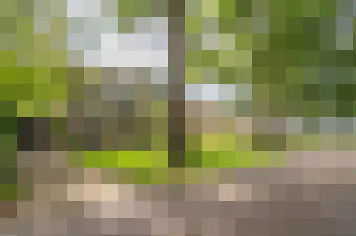 Westeres 1 Vries thumbnail 51