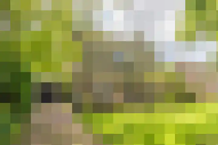 Westeres 1 Vries thumbnail 6