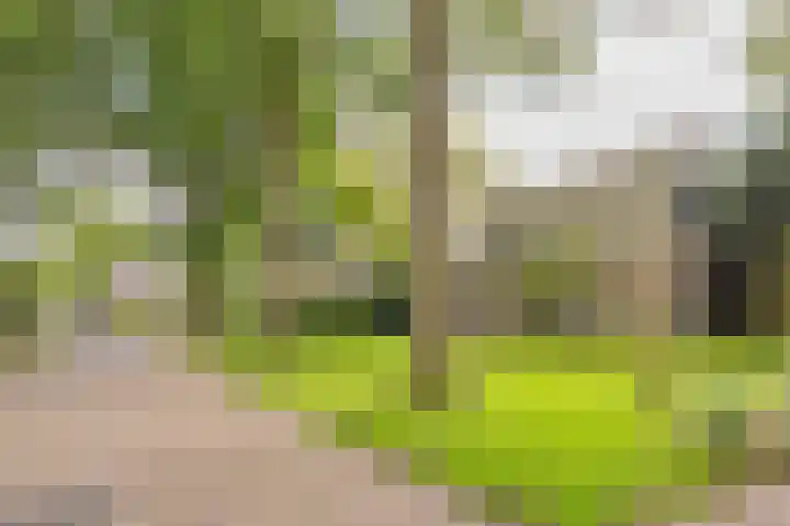 Westeres 1 Vries thumbnail 7