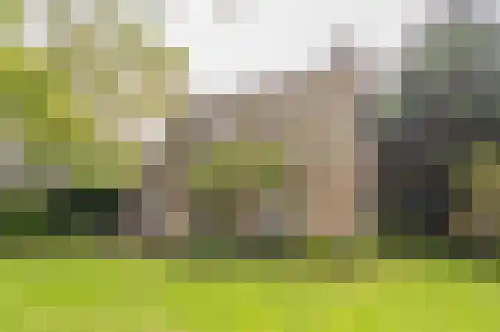 Westeres 1 Vries thumbnail 8