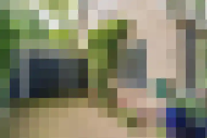Westeres 1 Vries thumbnail 9