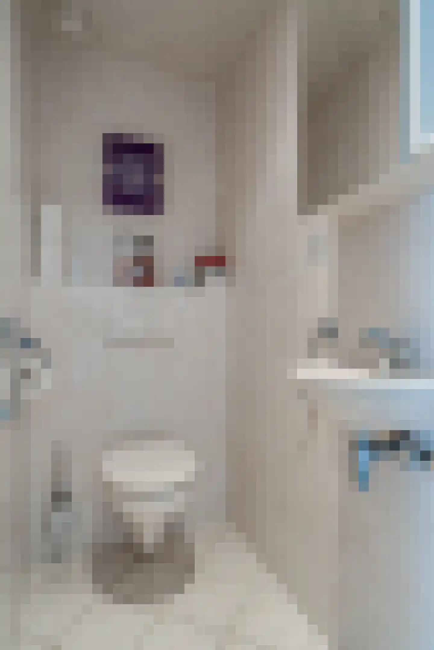 Westeresweg 41 Exloo thumbnail 14