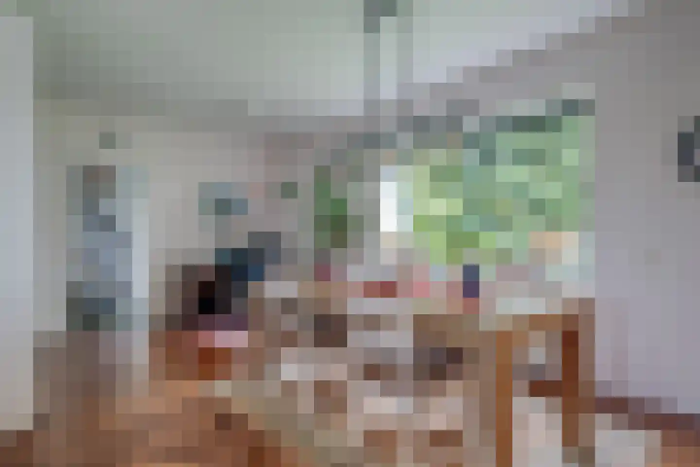 Westeresweg 41 Exloo thumbnail 15