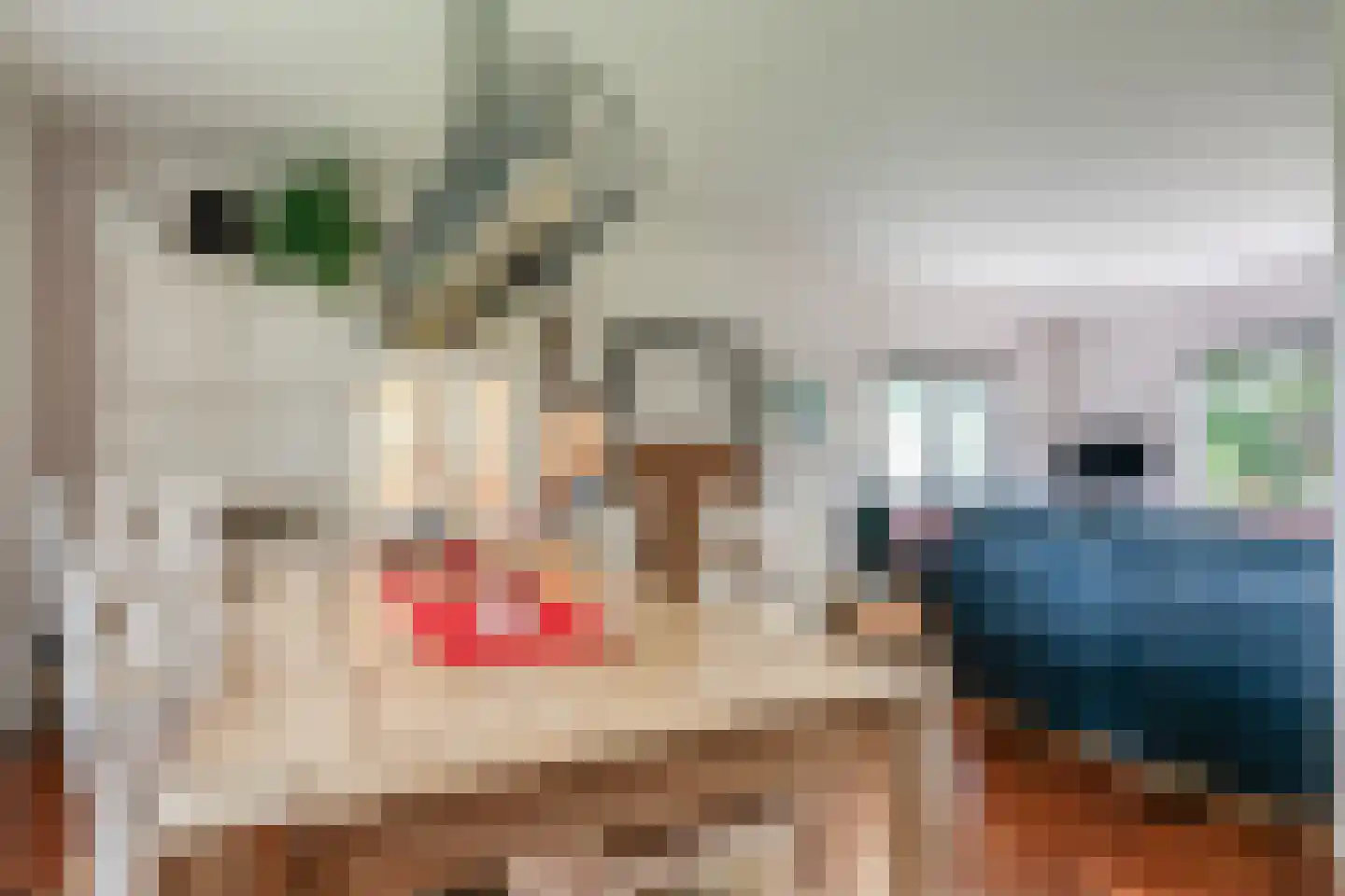 Westeresweg 41 Exloo thumbnail 17