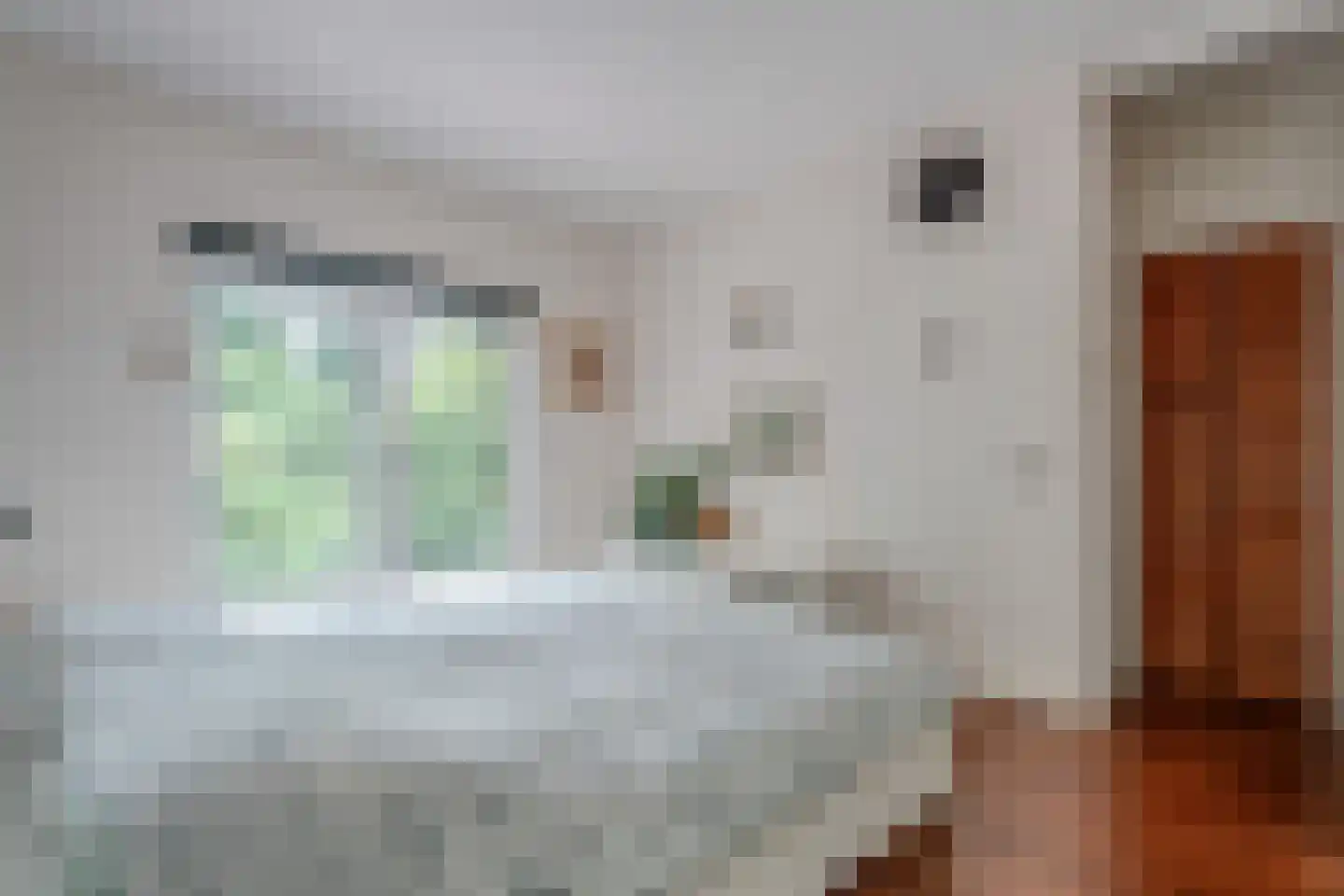 Westeresweg 41 Exloo thumbnail 24