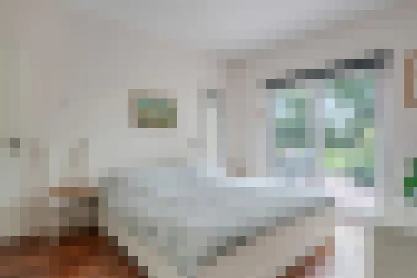 Westeresweg 41 Exloo thumbnail 25