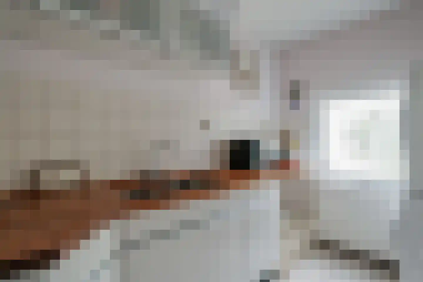 Westeresweg 41 Exloo thumbnail 32