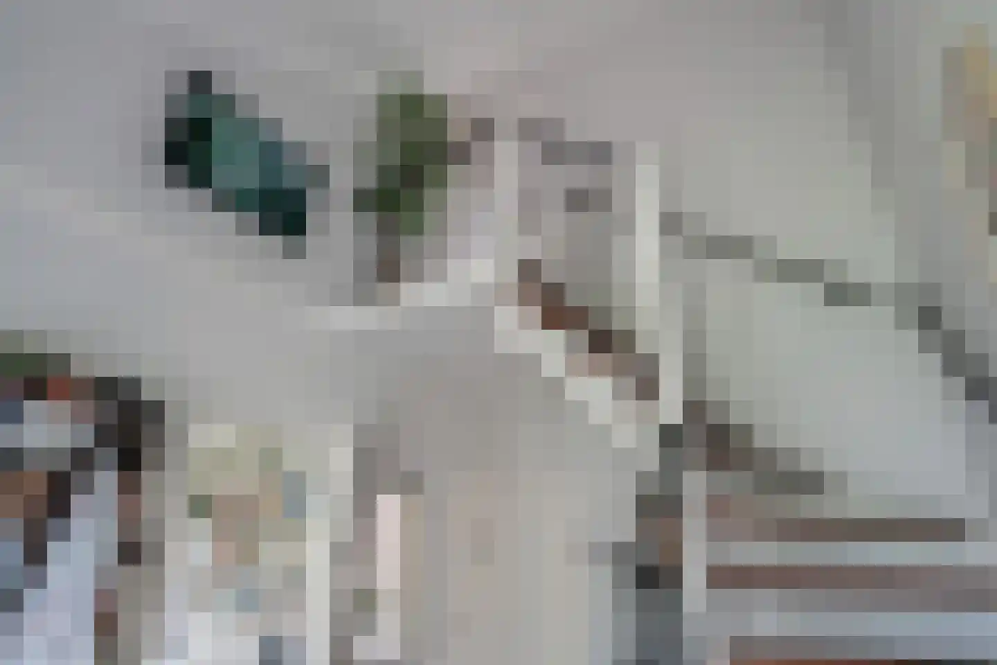 Westeresweg 41 Exloo thumbnail 34