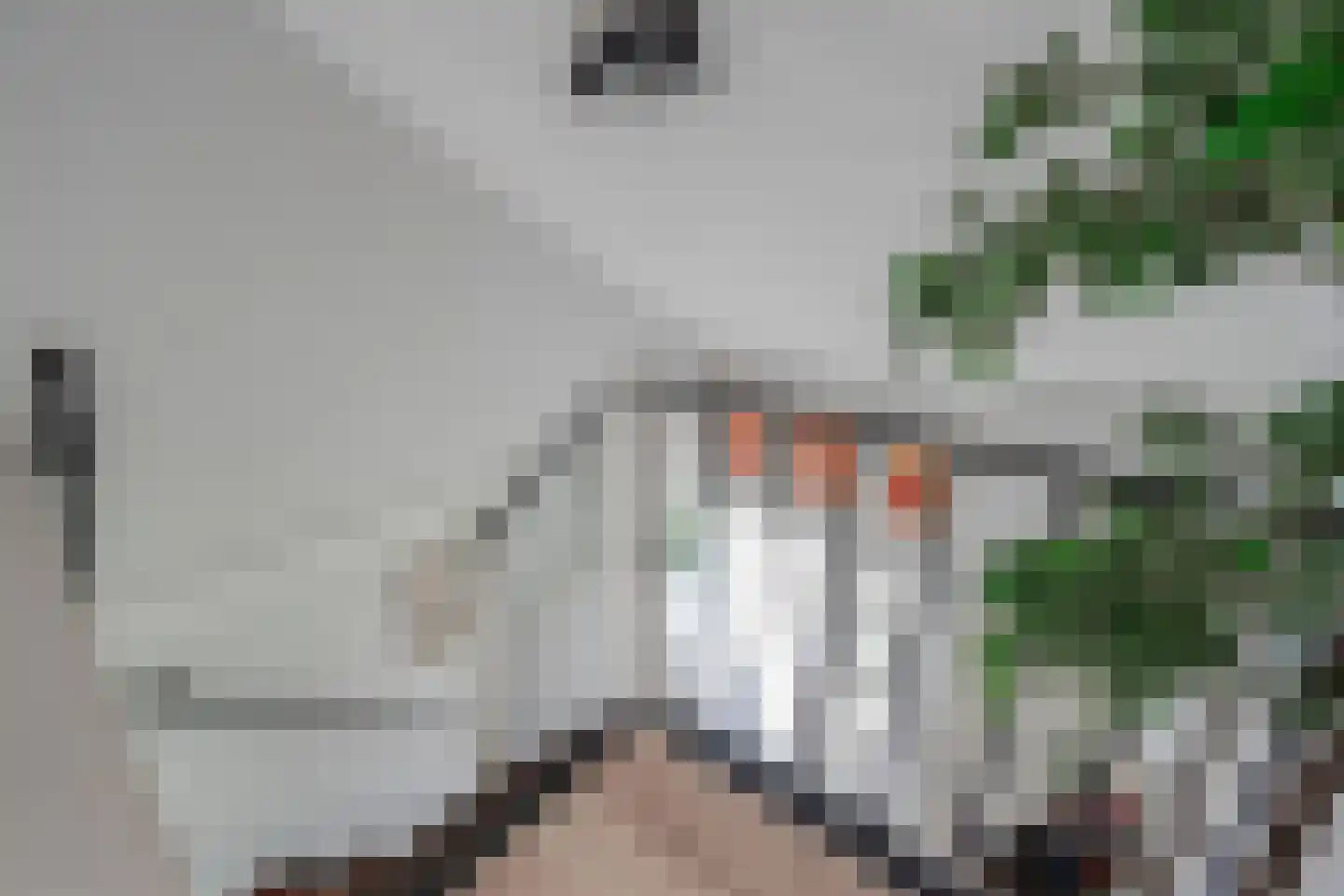 Westeresweg 41 Exloo thumbnail 35