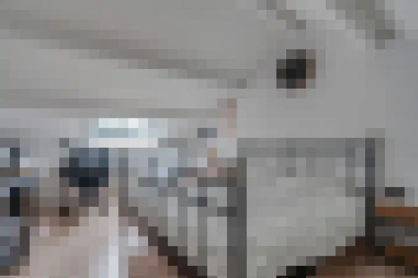 Westeresweg 41 Exloo thumbnail 38