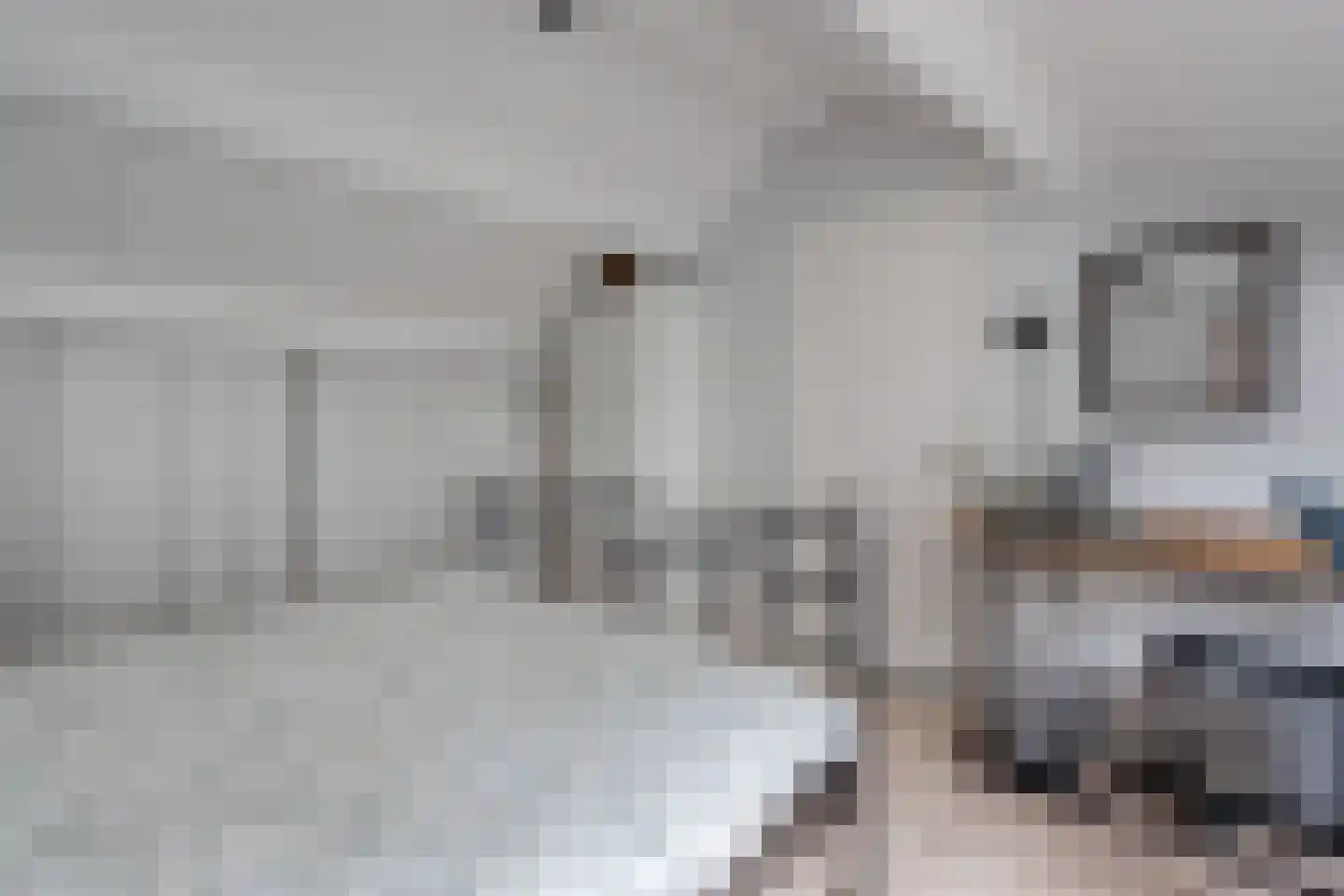 Westeresweg 41 Exloo thumbnail 39