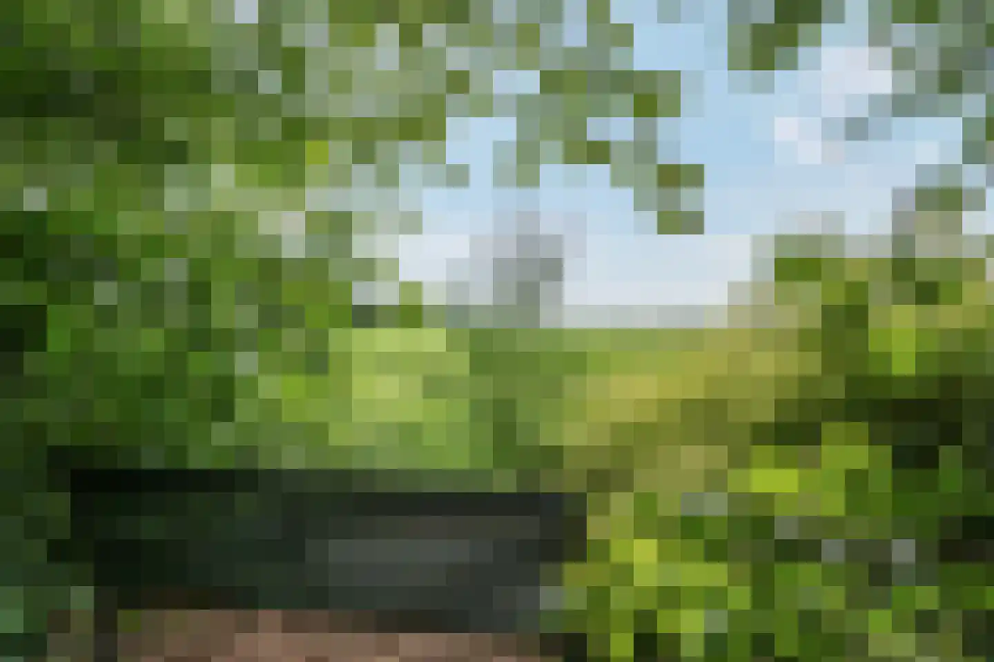 Westeresweg 41 Exloo thumbnail 4