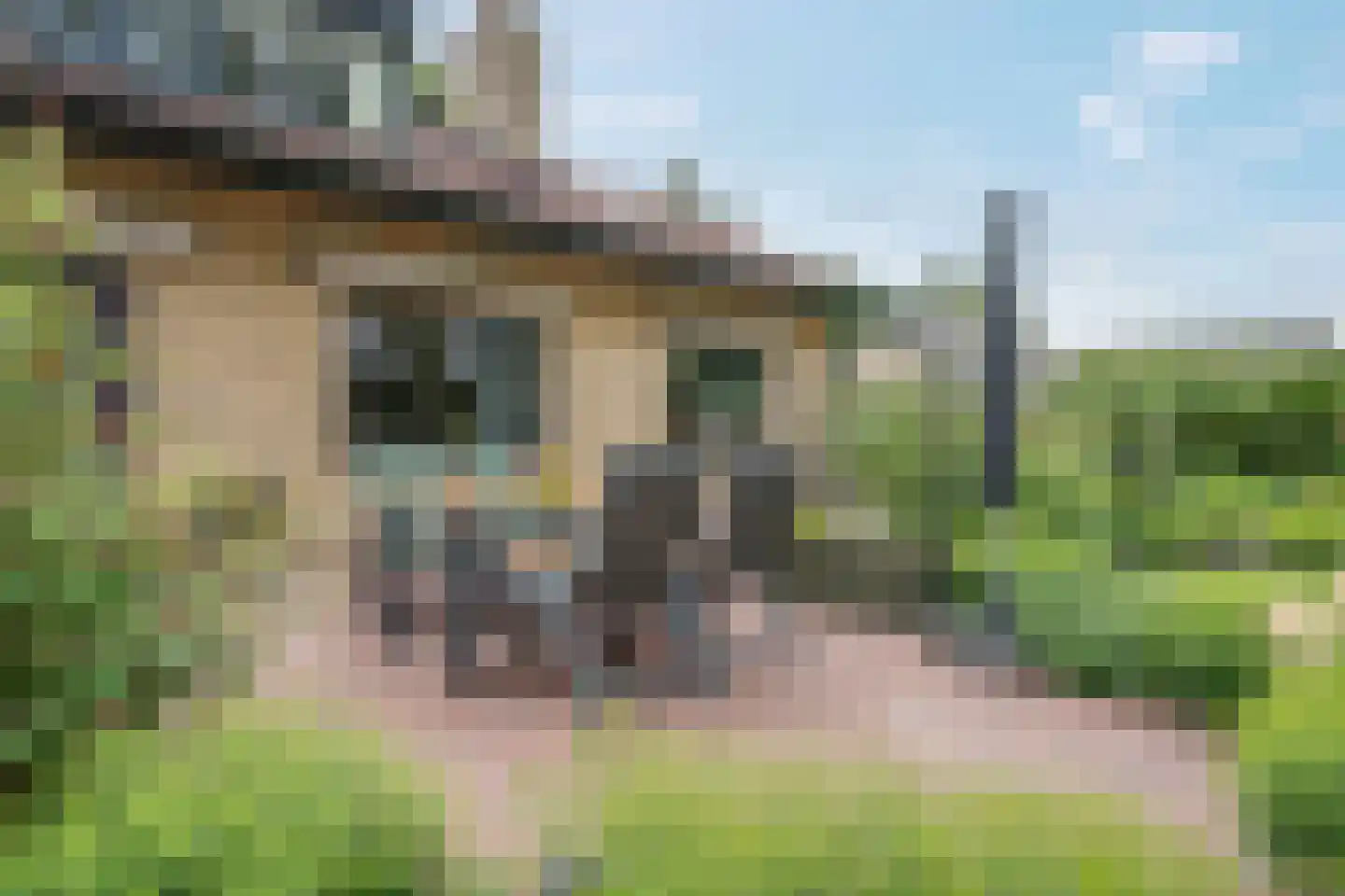Westeresweg 41 Exloo thumbnail 46
