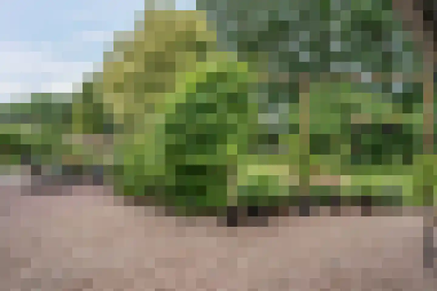 Westeresweg 41 Exloo thumbnail 48