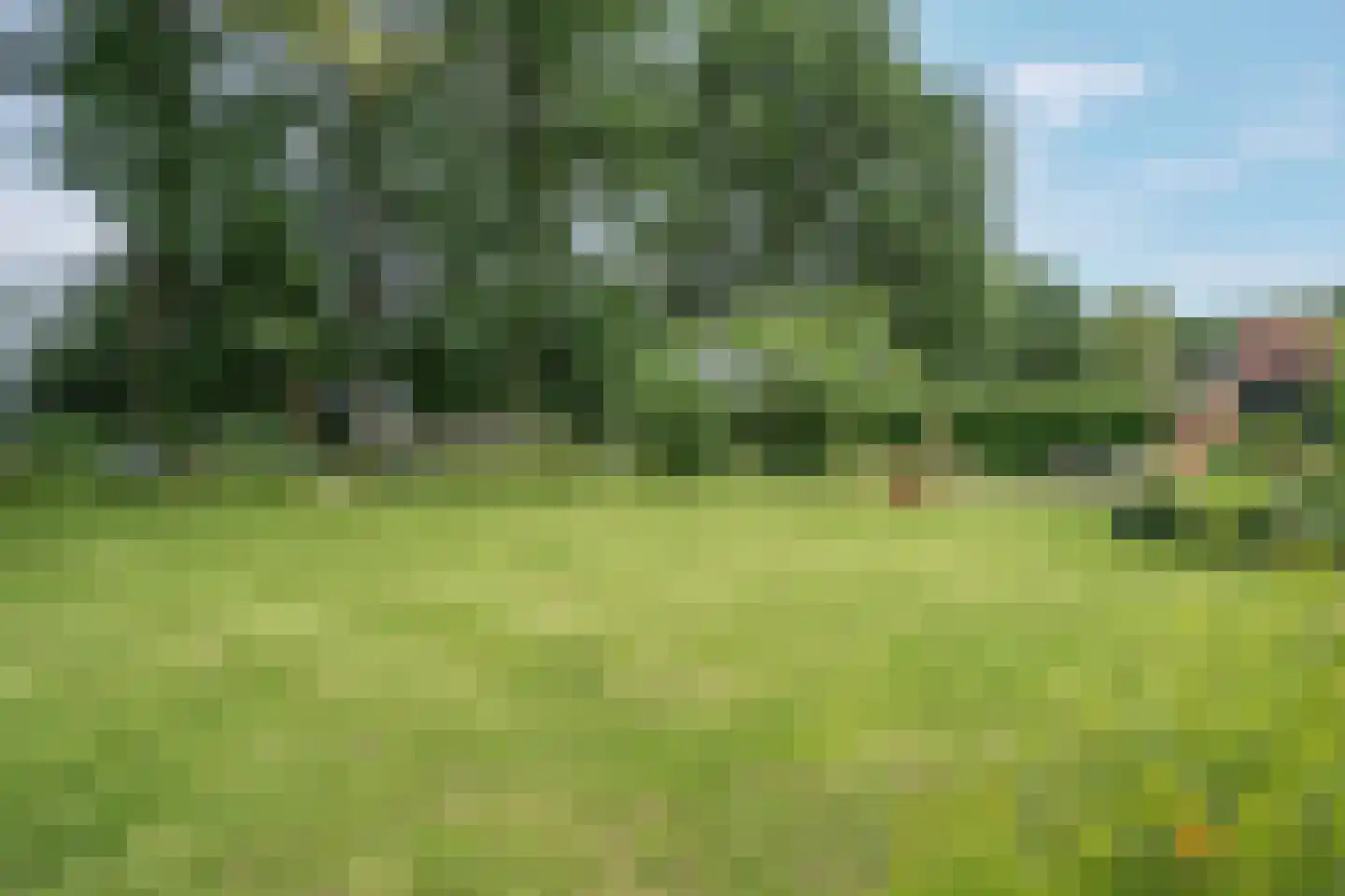 Westeresweg 41 Exloo thumbnail 49