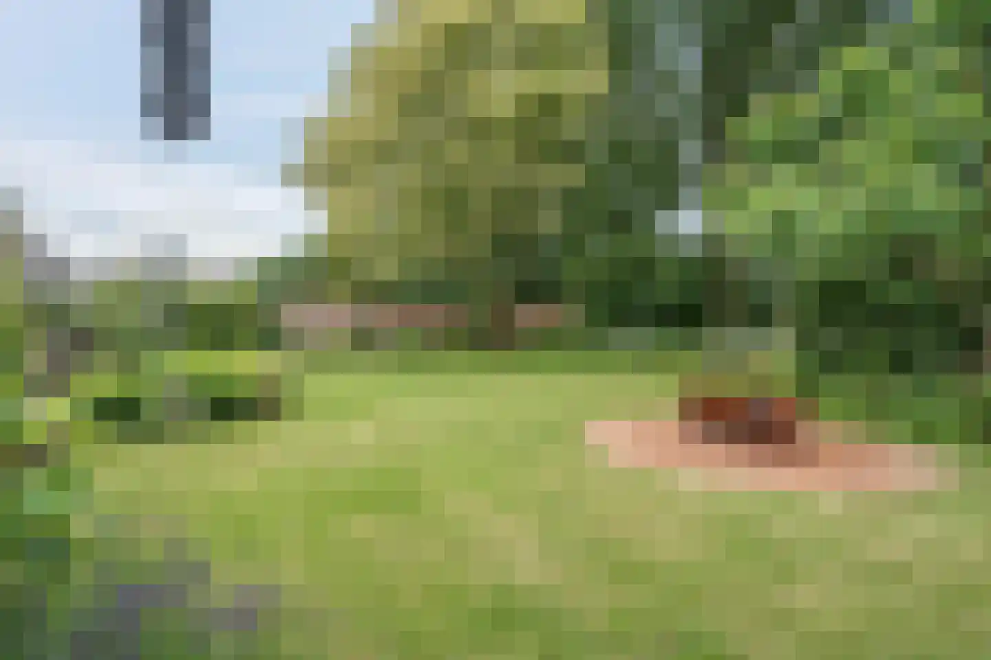 Westeresweg 41 Exloo thumbnail 50